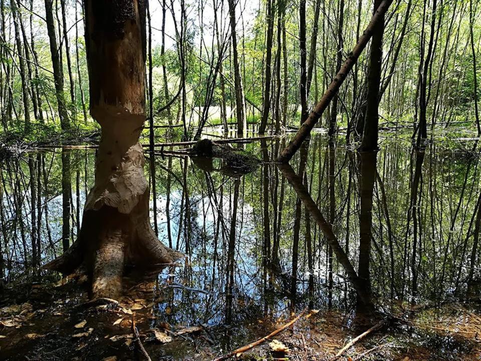 فندق La Bourgseigneurie Bourseigne-Vieille المظهر الخارجي الصورة