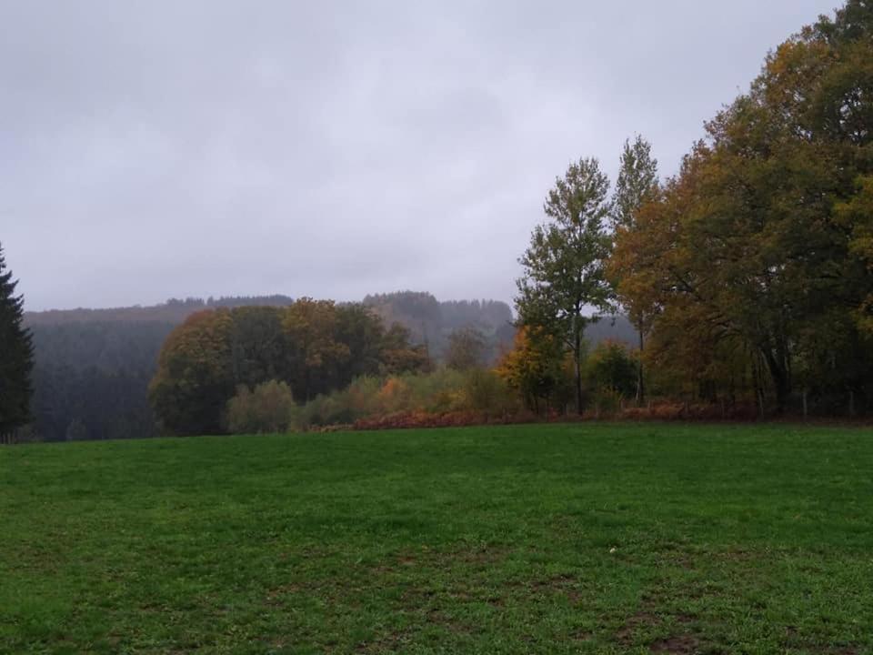 فندق La Bourgseigneurie Bourseigne-Vieille المظهر الخارجي الصورة